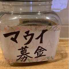 フラ　ウィズ　マカナ　無料体験🌴の画像