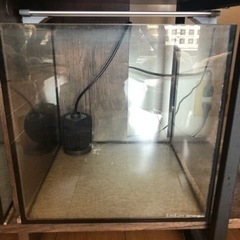 キューブ水槽　30センチ四方です。の画像