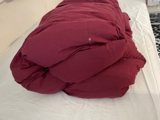 羽根掛布団　セミダブル　ワインレッド
