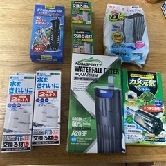 カメ、爬虫類、金魚などにの画像