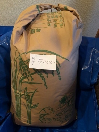 お米　玄米　30kg コシヒカリ