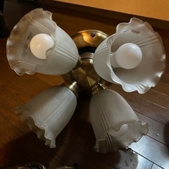 シーリングファンライト