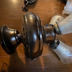 シーリングファンライトの画像