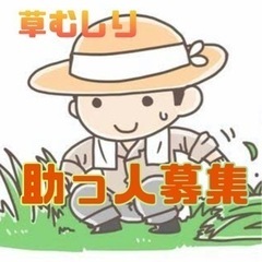 留萌市で助っ人募集します（草むしり）