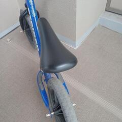 ストライダー　青の画像