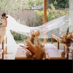 ベール　ヴェール　結婚式の画像