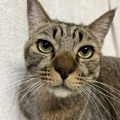 抱っこ好きな可愛い男の子