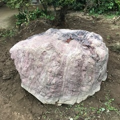 庭石、差し上げます