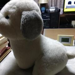 うめ吉の画像