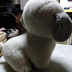 うめ吉の画像