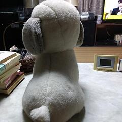 うめ吉の画像