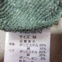 コンバーストレーナー　緑　新品の画像