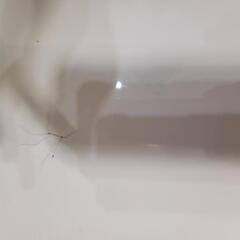 伸縮式のダイニングテーブルセットの画像