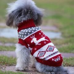残り3点‼️お買い得‼️非常に入手困難‼️【日本未入荷】 🐕🐈小...