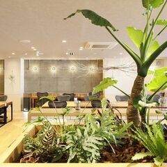 【★オープニングスタッフ正社員募集★】藤沢駅 歩3分オシャレなオフィス♪ 事務仕事: 慣れたら在宅ワーク✨の画像