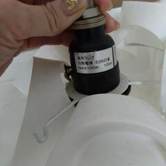 可愛いライトの画像