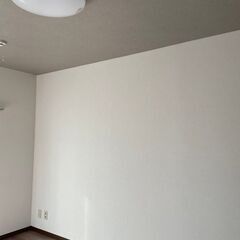 壁紙（クロス）を貼り換えて気分一新しませんか