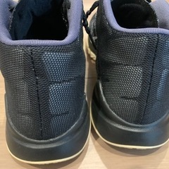 NIKE ズームアセンション　27㎝の画像