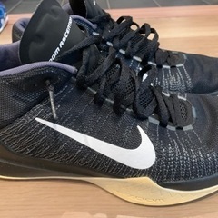 NIKE ズームアセンション　27㎝の画像