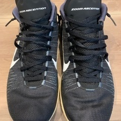 NIKE ズームアセンション　27㎝の画像