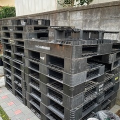 プラスチック　パレット　15個