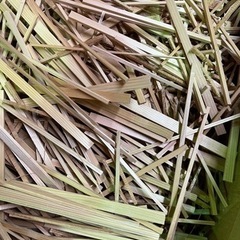 お取引中です。ソロキャン用薪！　詰め放題、お引取限定です。