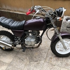 エイプ50の画像