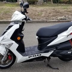 ティグラ125 最速 希少 初期型の画像