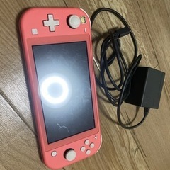 【Switch Lite】○半年くらい使用○充電器付き○箱無し