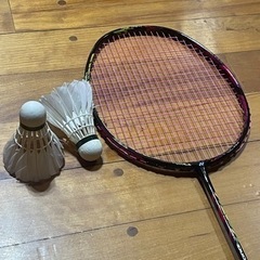 【南部】バドミントン仲間募集中！