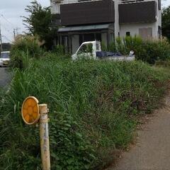 庭の草刈り、畑の草刈り、草取り、お仕事下さい