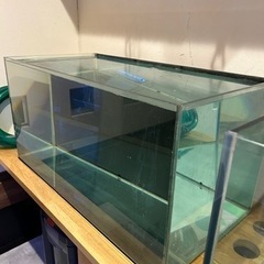 ADA キューブガーデン90 ガラス水槽 キャビネット他14点セット 引取り限定 Yahoo!オークション -「水槽 ada キューブガーデン」の落札相場
