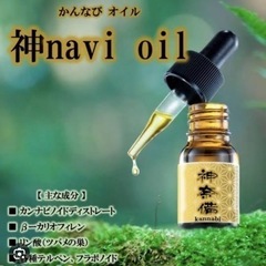 成功者を見習う！みんな〜おはよ〜♪今週も夢に向かってファイト！CBD・自由人・FIRE・フリーランス入門！10/9（月） − 広島県