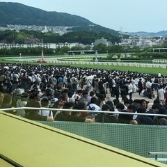 競馬場に行くメンバー募集