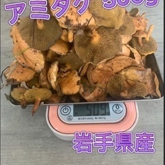 天然きのこ　アミタケ　500g
