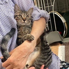 最高の幸せ掴みました^_^