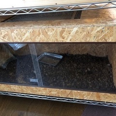 引き取り可　爬虫類ケージ鍵付　90✖︎45✖︎45 ハチクラ　エキゾテラ　オマケ多数 引き取り可 爬虫類ケージ鍵付 90✖︎45✖︎45 ハチクラ