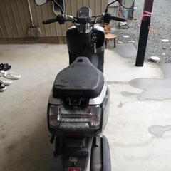 ホンダ　ダンク　部品取り　ジャンクの画像