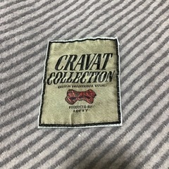 薄い毛布の画像