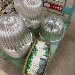 苗帽子、止め杭付き5枚セット商談中