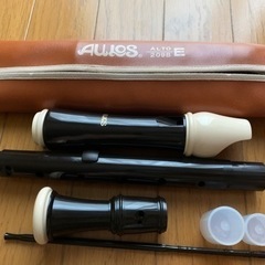 【今週1,000円】『アルトリコーダー🪈』