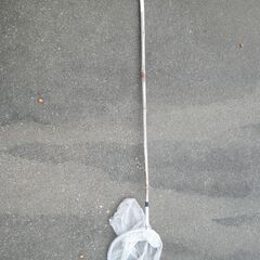 値下げ💴⤵️　虫取り網
