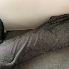 無料🌈ニトリのソファー　L字タイプの画像