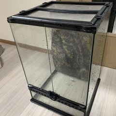 エキゾテラ グラステラリウムW31.5×D31.5×H48cm
