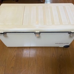 ホリデーランド　SHINWA クーラーボックス