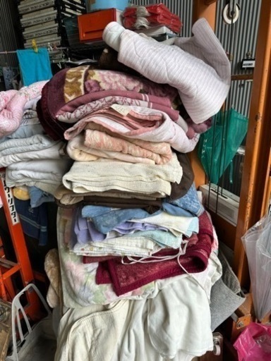 養生用　中古毛布どれでも１０枚セット