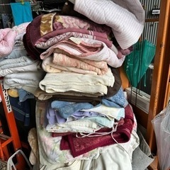 養生用　中古毛布どれでも１０枚セット