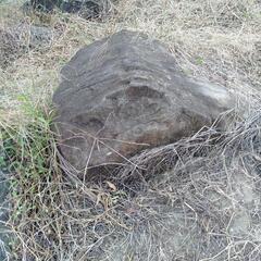 庭石、岩お譲りしますの画像