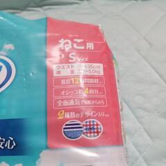 猫用マナーウェア決まりましたの画像