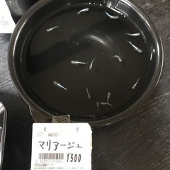 各種めだかちゃん
